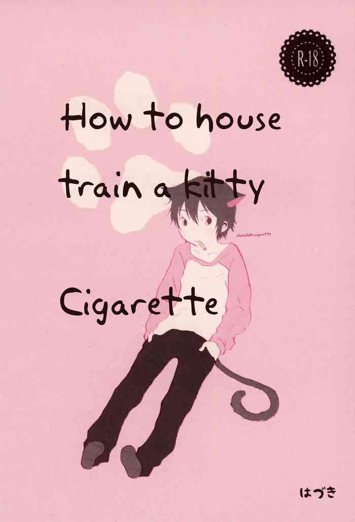 Heya o Yogosu Neko no Shitsukekata Cigarette | How to house train a kitty   Cigarette {Chin²}